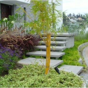 Jardín